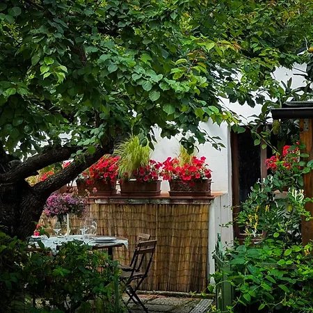 Casa Di Leo - Helloelba Сasa de vacaciones Portoferraio